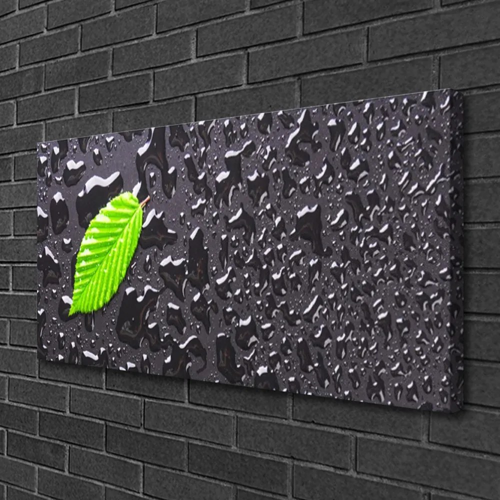 Fotoobraz na płótnie Rosa na Młodym Liściu