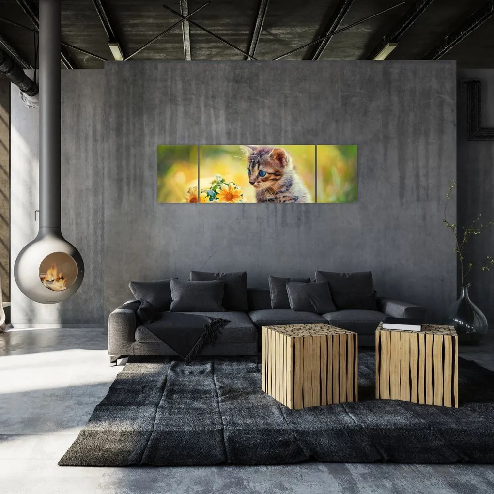 Obraz kotka patrzącego na kwiat (170x50 cm)