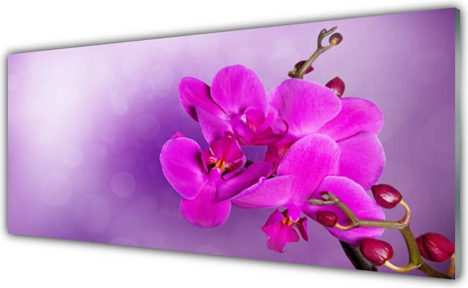 Dekor Szklany do Kuchni Delikatność Płatków Storczyka