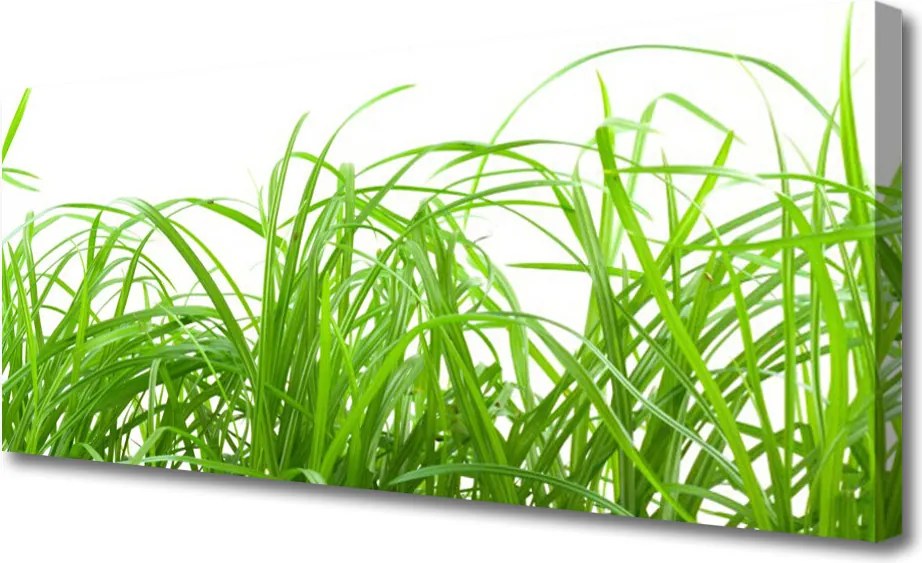 Zdjęcie na płótnie Soczysta Zielona Trawa