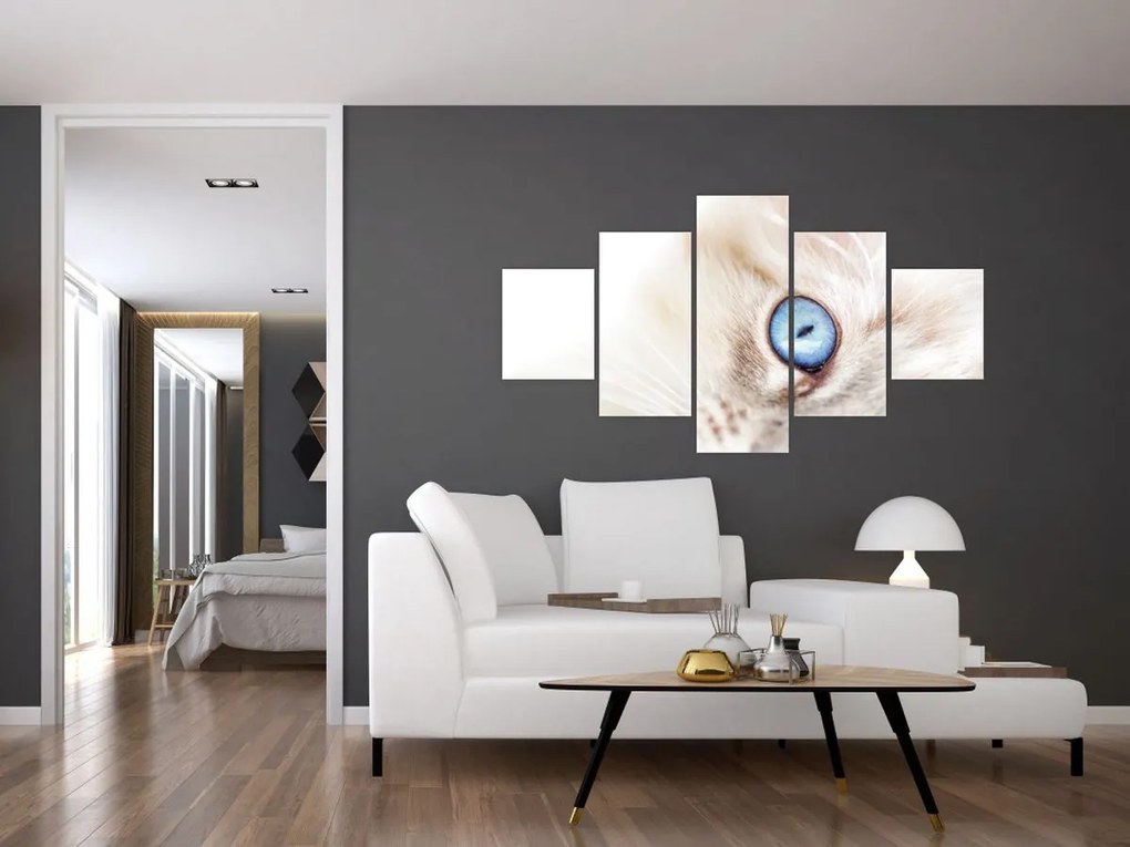 Obraz - Kotek (125x70 cm)