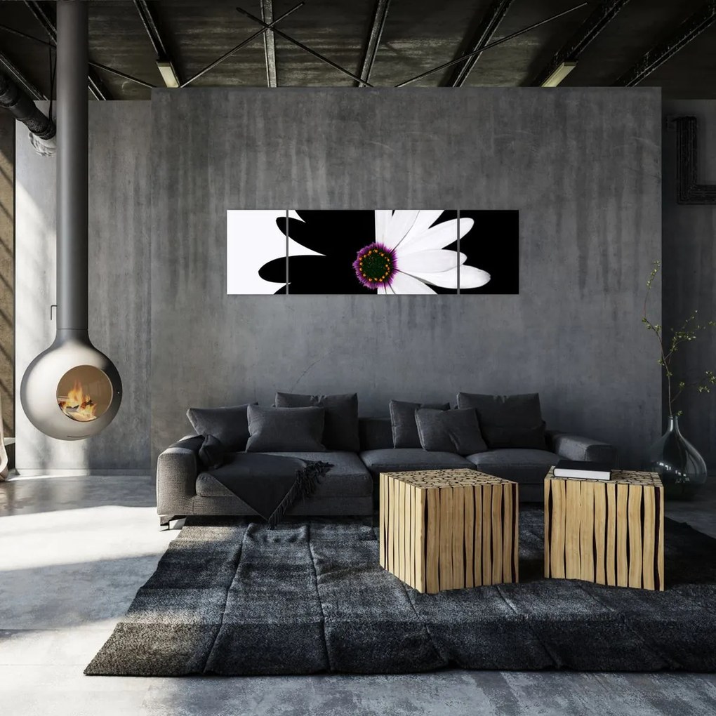 Obraz czarno - białego kwiatu (170x50 cm)