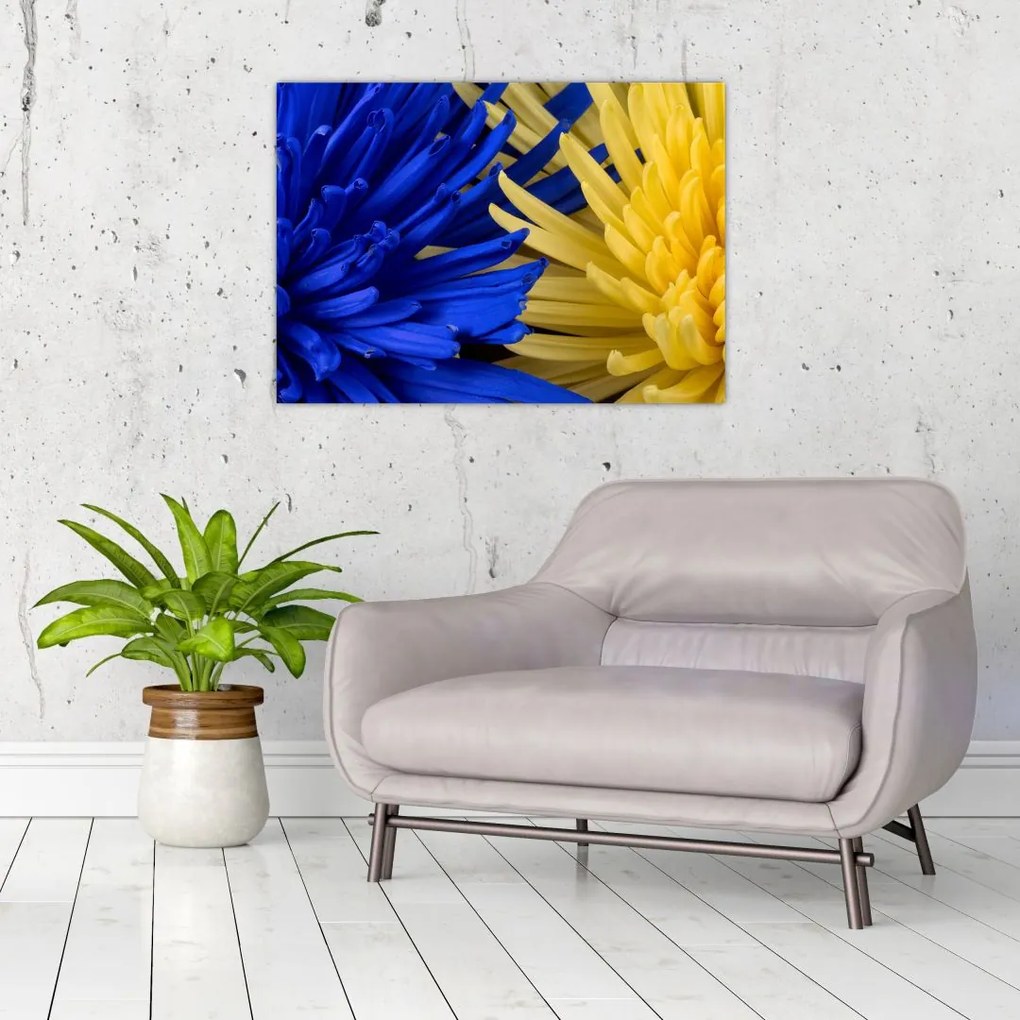 Obraz na szkle - szczegóły kwiatów (70x50 cm)