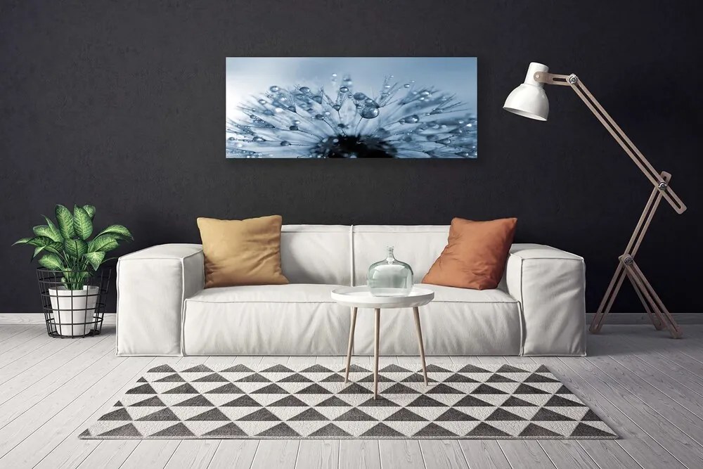 Obraz Canvas Dmuchawiec Kwiat Krople