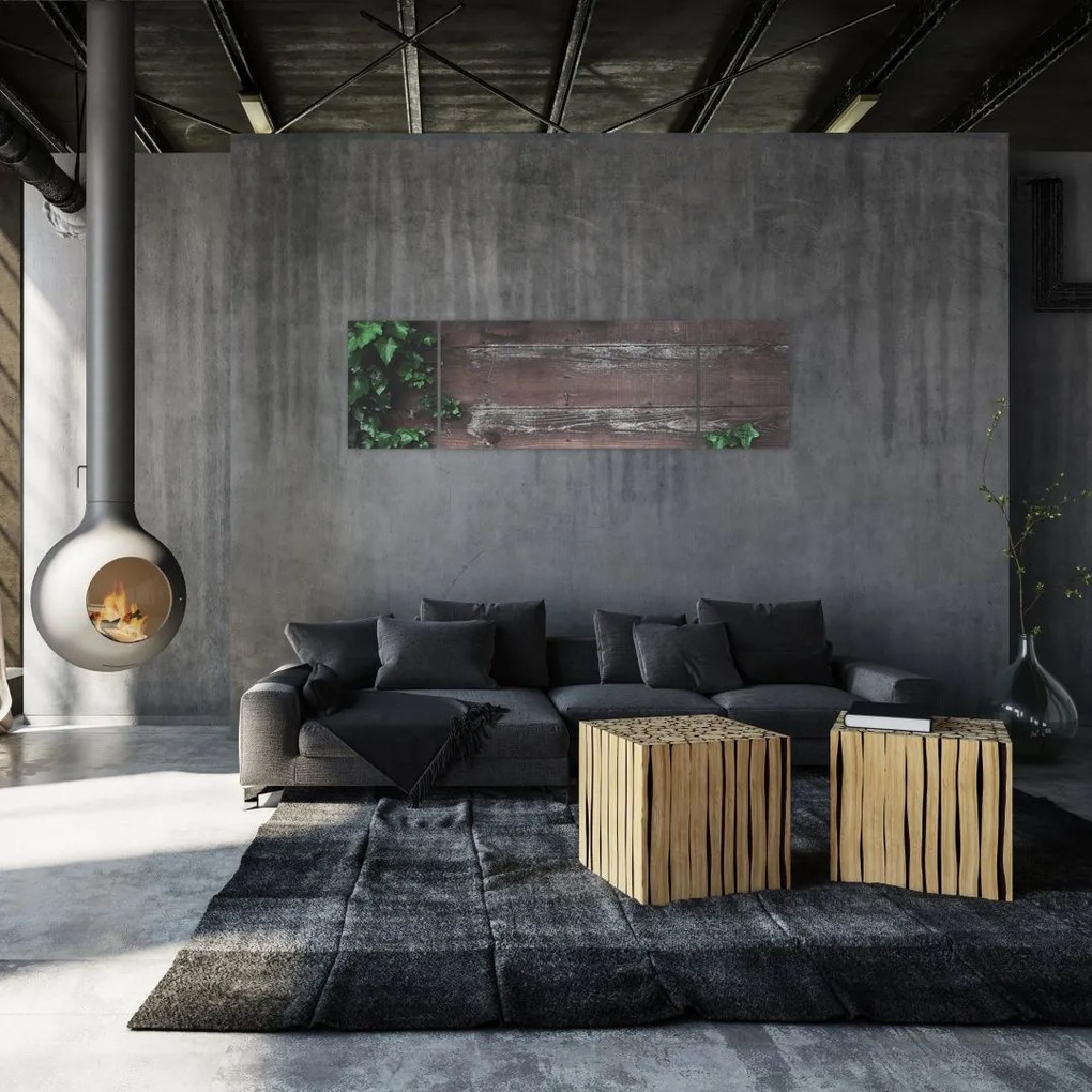 Obraz - Bluszcz (170x50 cm)