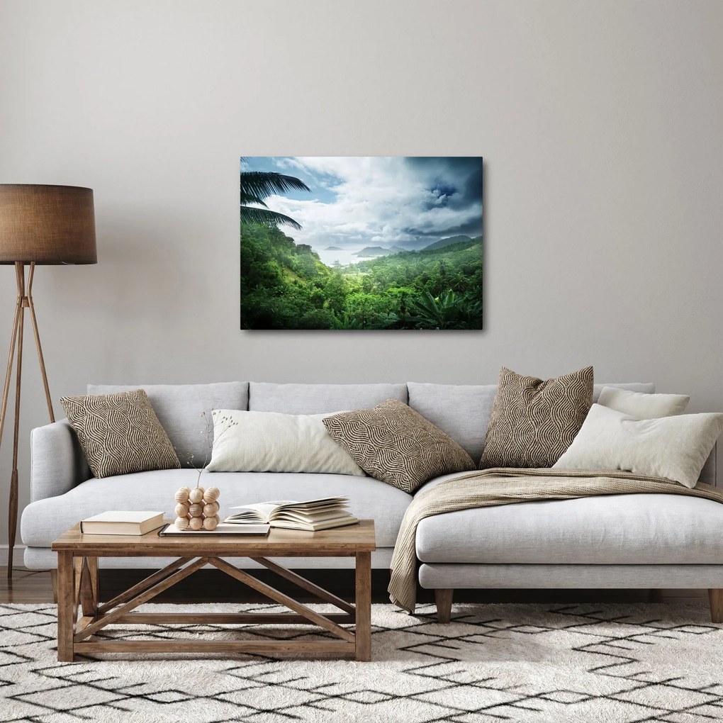Obraz - Dżungla Seszeli (70x50 cm)