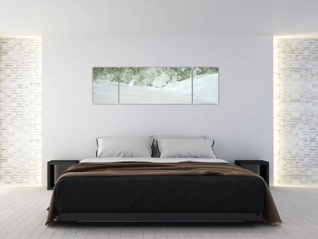 Obraz - Abstrakcja pędzle (170x50 cm)