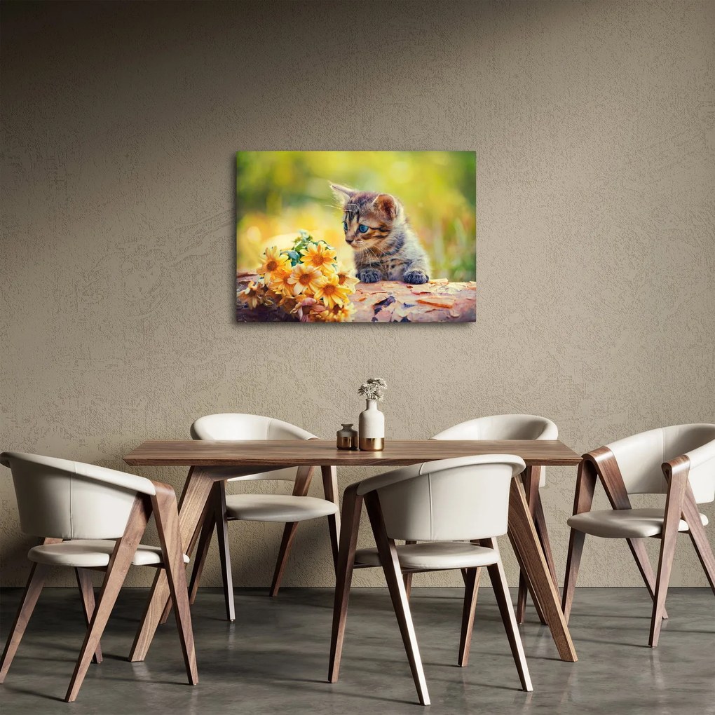 Obraz kotka patrzącego na kwiat (70x50 cm)