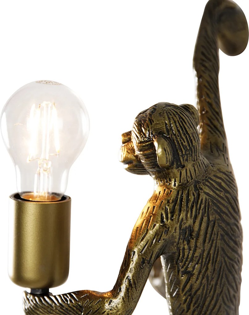 Złota ścienna lampa małpa - Animal Monkey