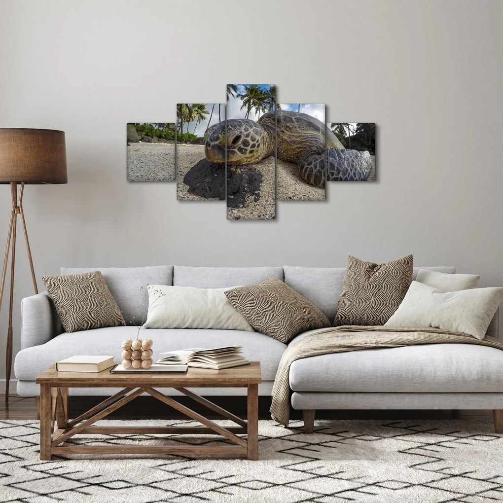 Obraz żółwia (125x70 cm)
