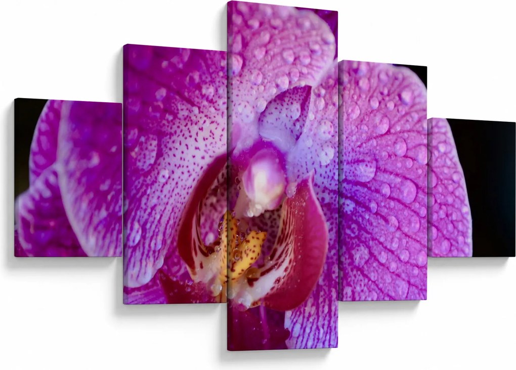 Zbliżenie kwiatu orchidei (125x70 cm)