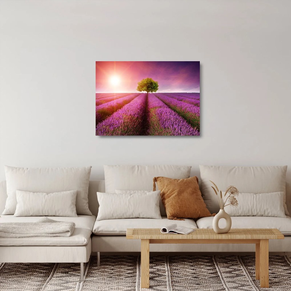 Obraz na szkle pola z lawendą (70x50 cm)