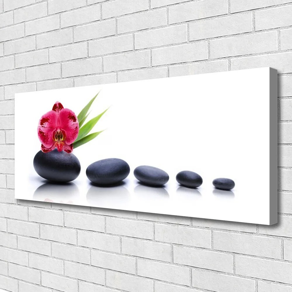 Obraz Canvas Kwiat Orchidea Grafika