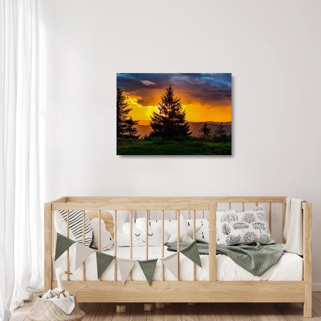 Obraz na szkle - drzewa iglaste (70x50 cm)