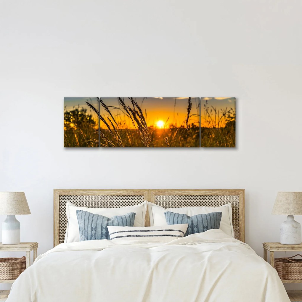Obraz pola o zachodzie słońca (170x50 cm)