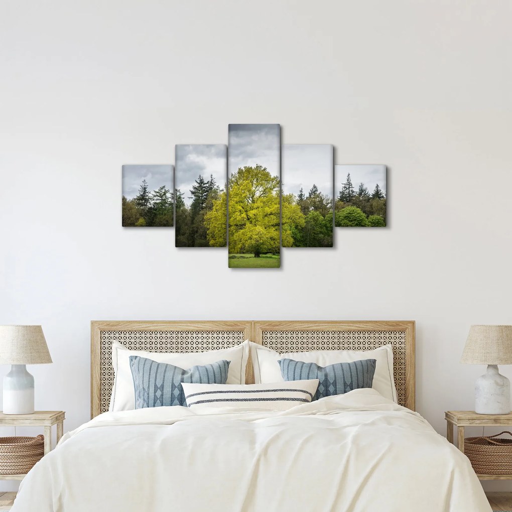Obraz zielonego drzewa na środku pola (125x70 cm)