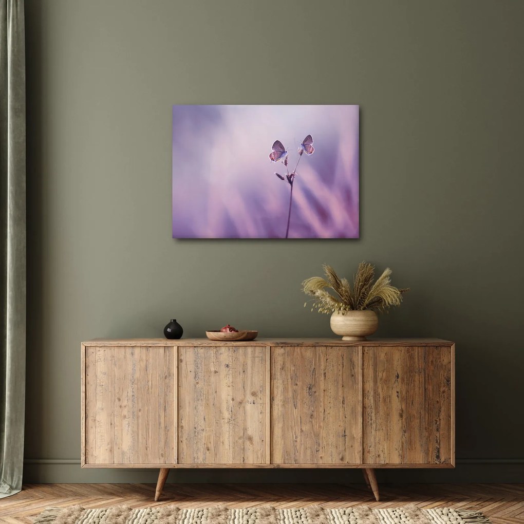 Obraz - Fioletowe motyle (70x50 cm)