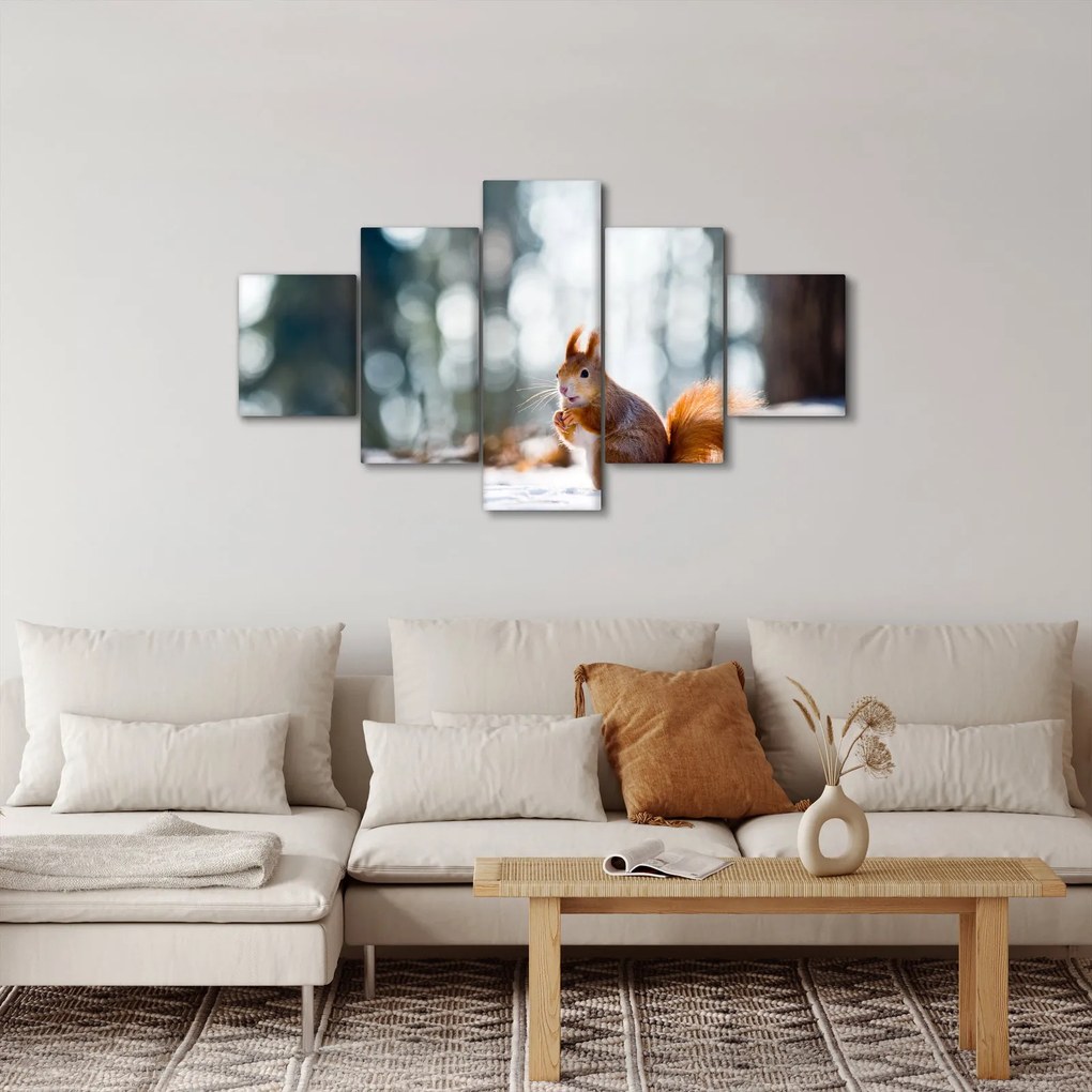 Obraz - Wiewiórka (125x70 cm)
