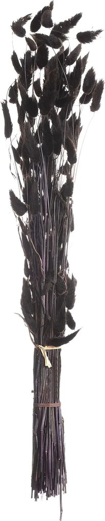 Bukiet Dmuszka 60cm dark brown