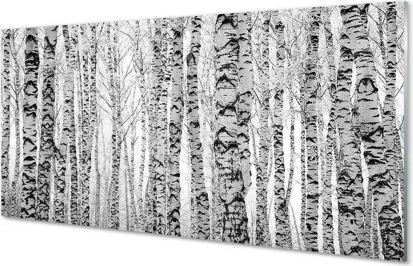Szklany Panel Brzozy w Kontraście Czerni i Bieli