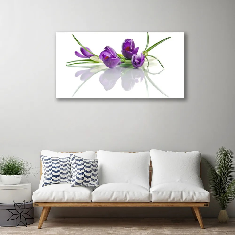 Zdjęcie na płótnie Botaniczny Ogród Kwiatowy