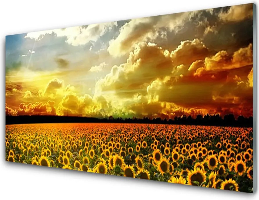 Panel nad blat kuchenny Bezkresne Pole Słoneczników