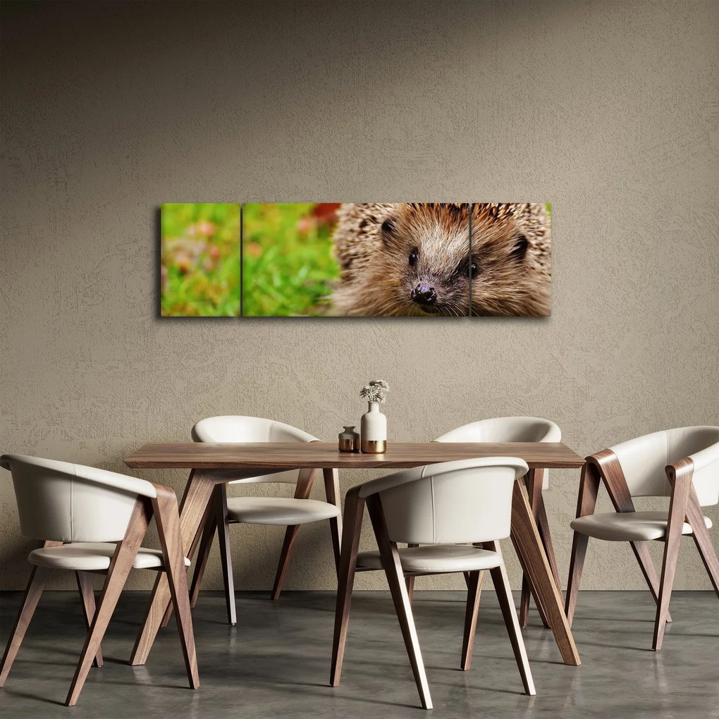 Obraz jeża (170x50 cm)