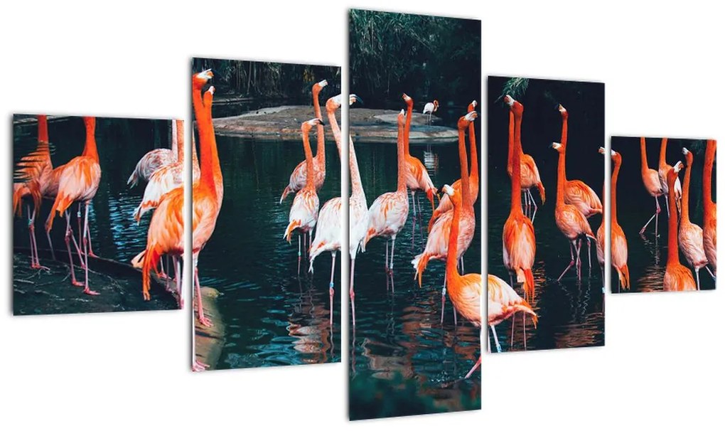 Obraz stada flamingów (125x70 cm)