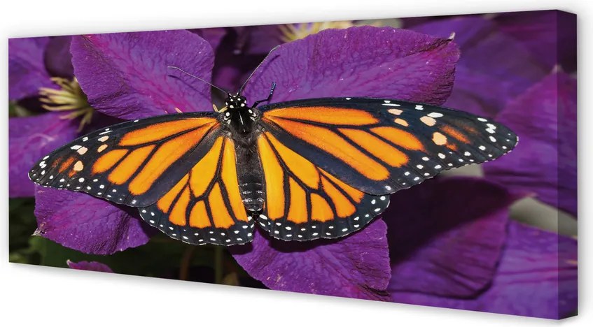 Duży obraz na płótnie Kwiaty i Kolorowy Motyl
