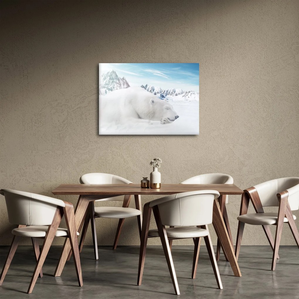 Obraz - Niedźwiedź polarny (70x50 cm)