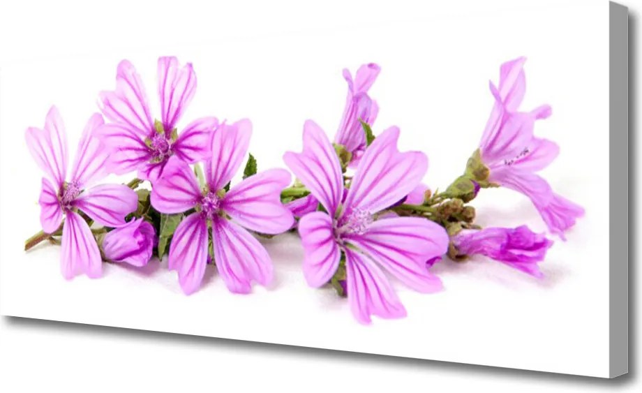 Fotoobraz na płótnie Wyrafinowany Motyw Roślinny