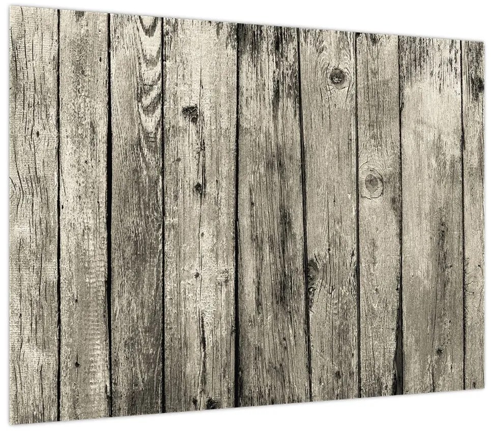 Obraz - Drzewo (70x50 cm)