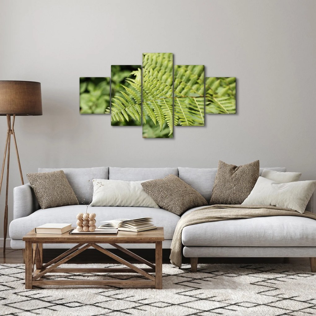 Obraz - Liść paproci (125x70 cm)