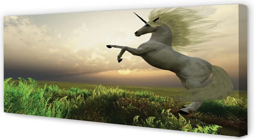 Obraz drukowany na płótnie Jednorożec na Polu