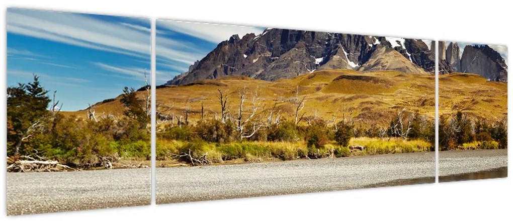 Obraz - Park Narodowy Torres del Paine (170x50 cm)