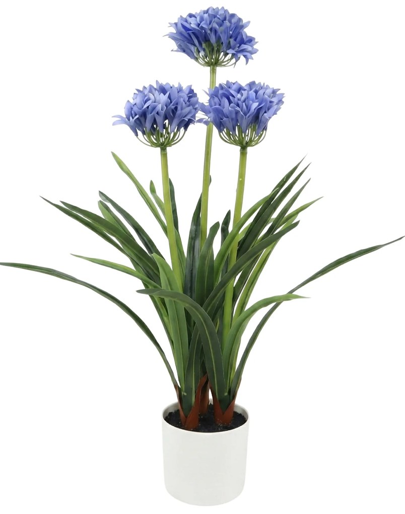 Sztuczny kwiat w doniczce Agapant, 50 x 80 cm