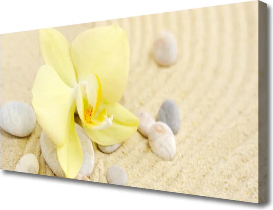 Obraz na płótnie Klasyczna Elegancja Kwiatów