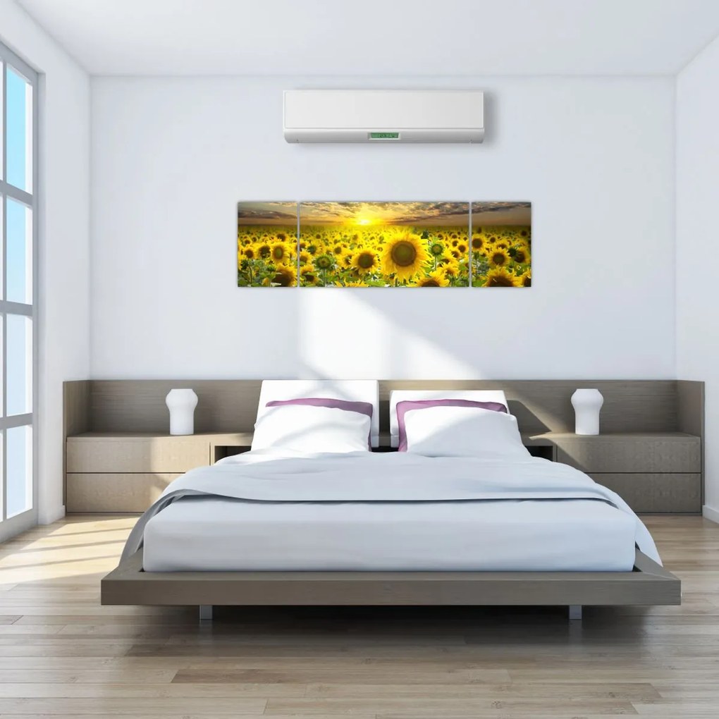 Obraz - Słoneczniki o zachodzie słońca (170x50 cm)