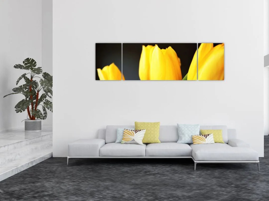 Obraz tulipanów (170x50 cm)