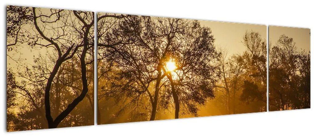 Obraz wschodu słońca (170x50 cm)
