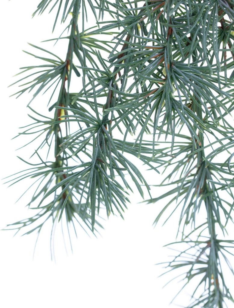 Gałązka Christmas Tree 30x2x60cm light green