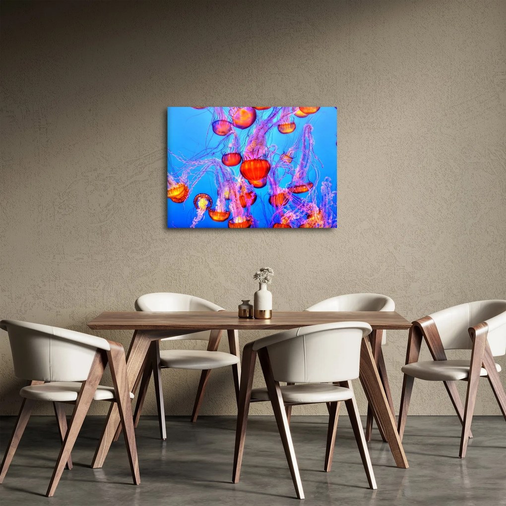 Obraz meduz w morzu (70x50 cm)