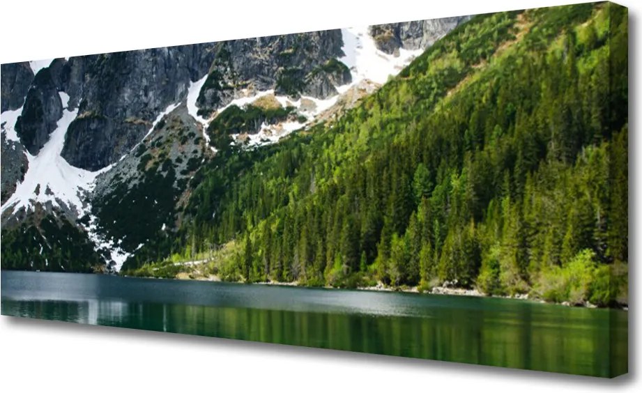 Obraz canvas Panorama Alpejskiej Natury