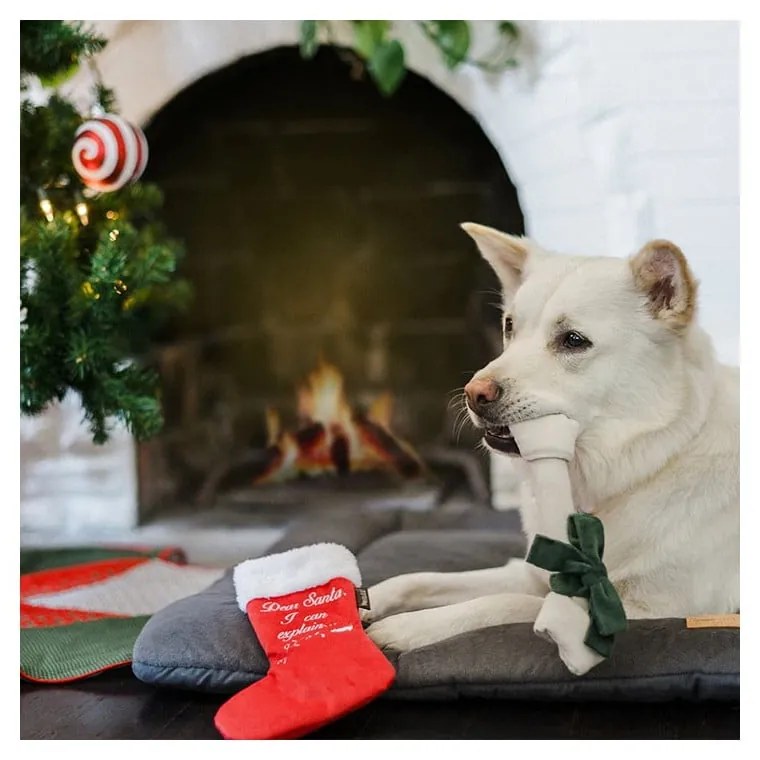 Zabawka dla psa Pończocha z niespodzianką – P.L.A.Y.