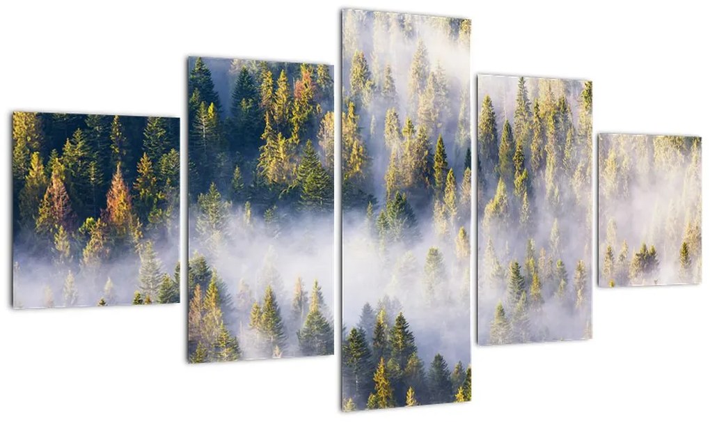 Obraz drzew we mgle (125x70 cm)