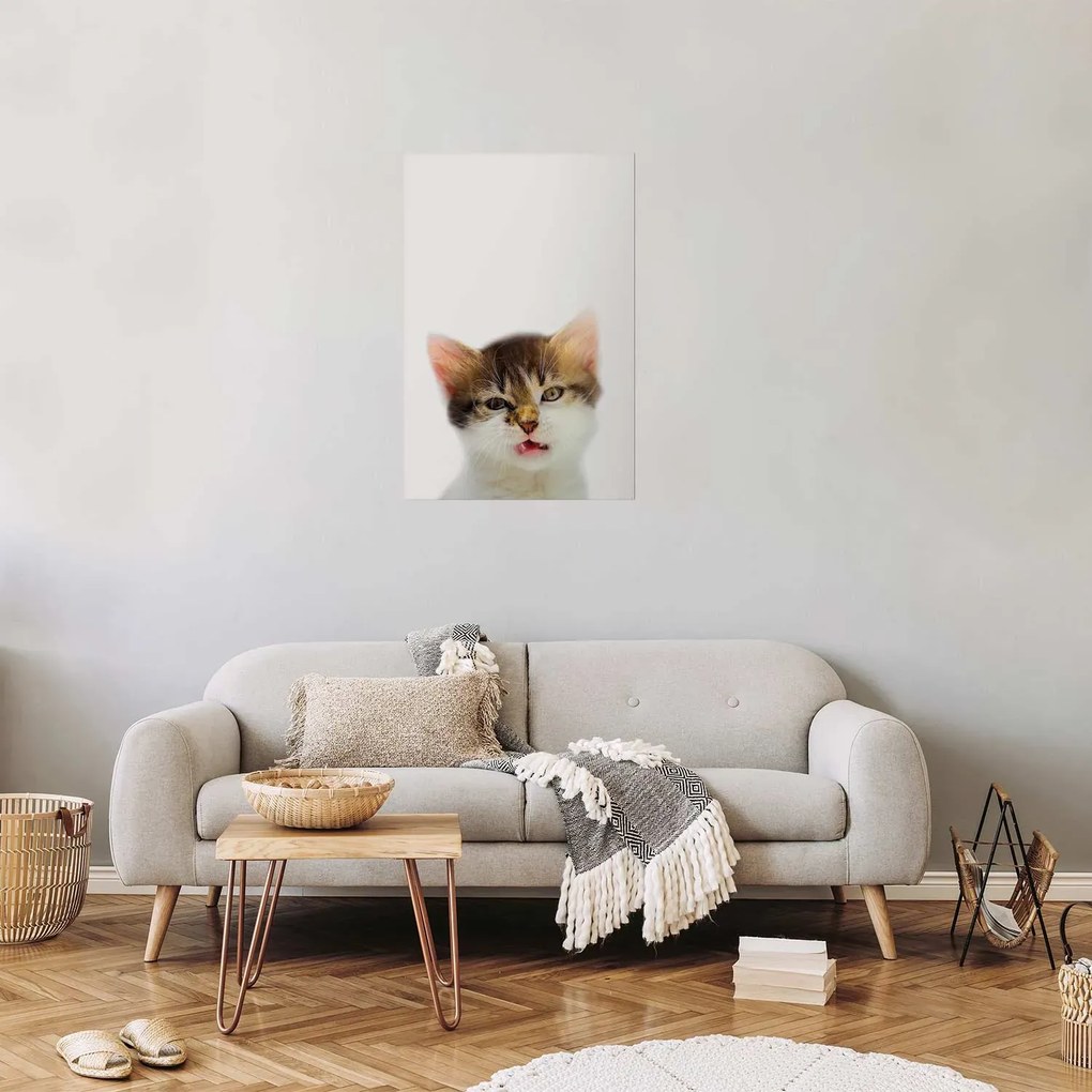 Plakat Zirytowany kot 21x30 cm bez ramy bez marginesu ARTGEIST B