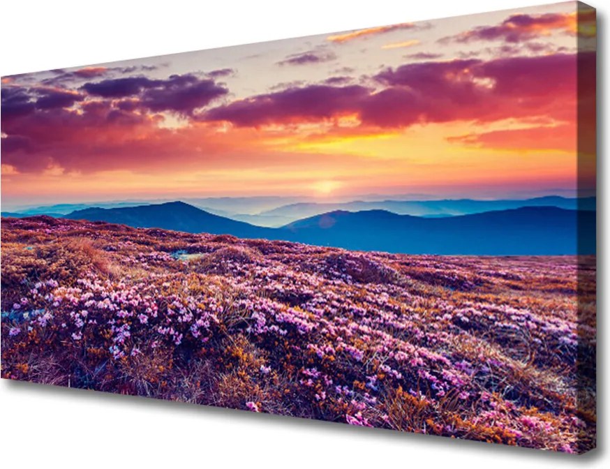 Obraz na płótnie Kwiatowy Dywan u Stóp Gór