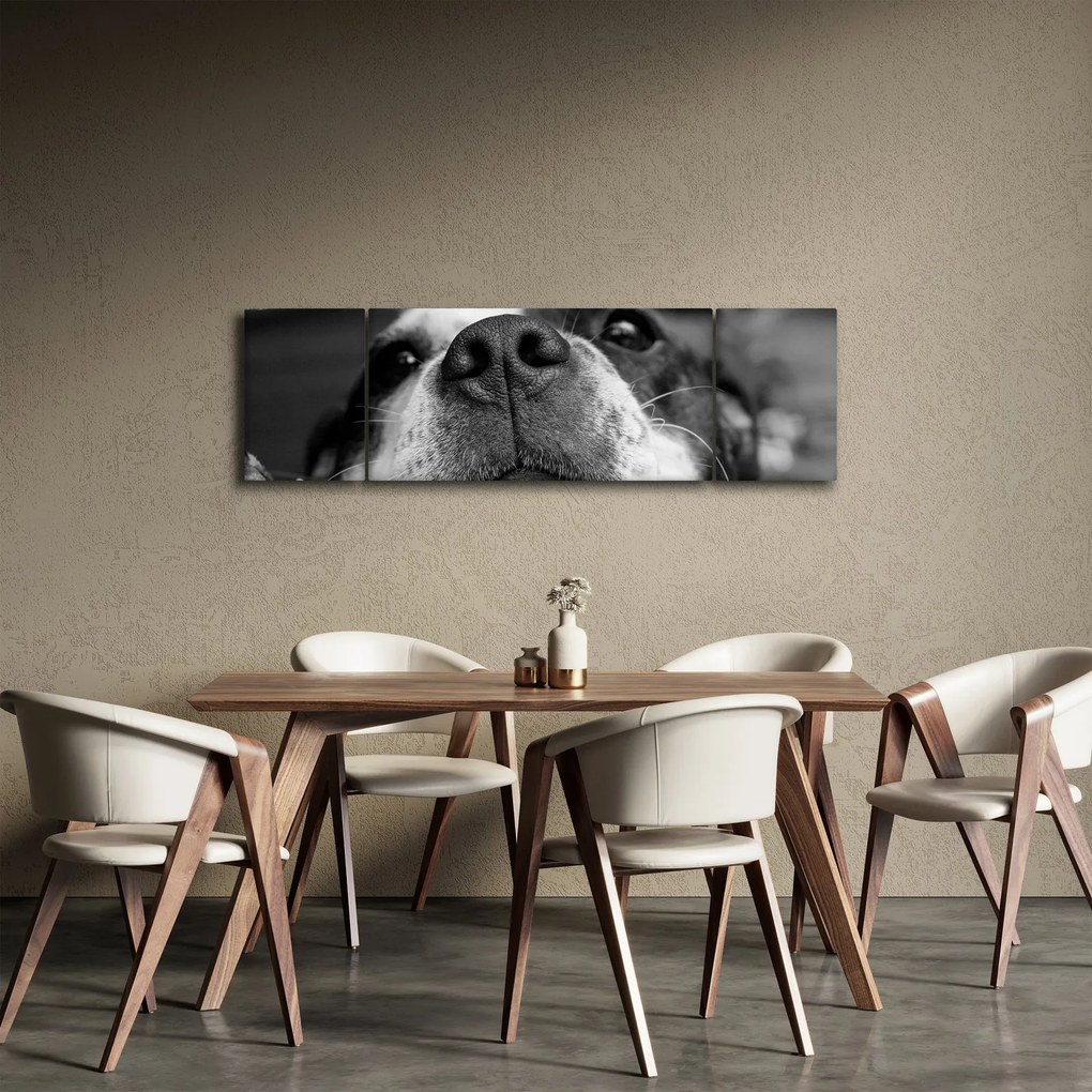 Obraz psa (170x50 cm)