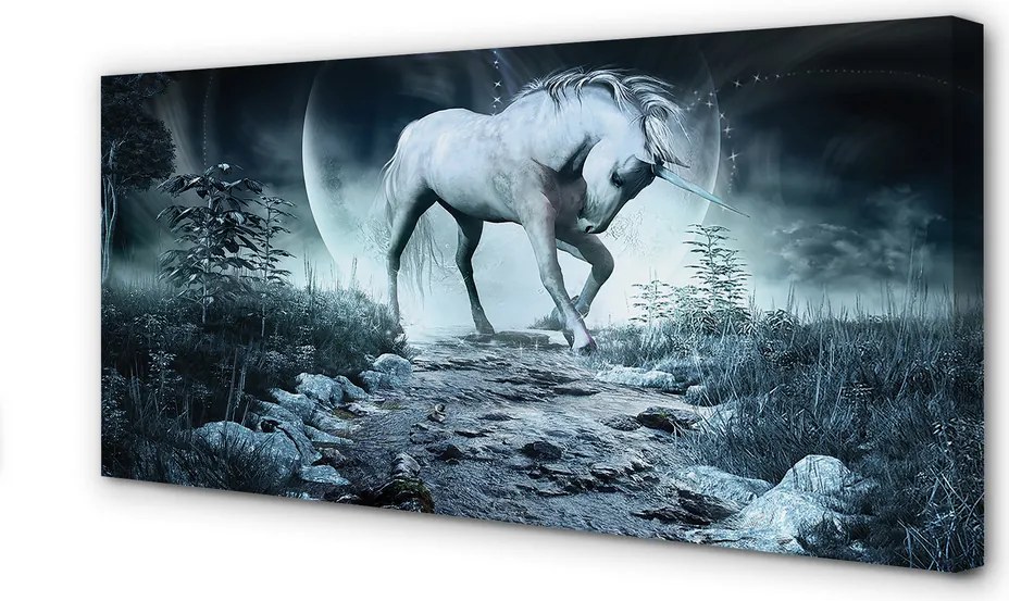 Zdjęcie na płótnie Jednorożec w Lesie przy Księżycu
