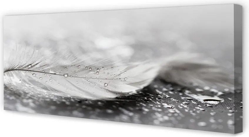 Obraz canvas na ścianę Delikatne Krople na Piórku